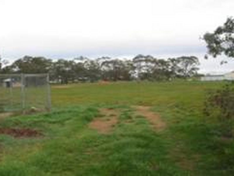 Lot 1 & 2 Webster Street, Wycheproof VIC 3527