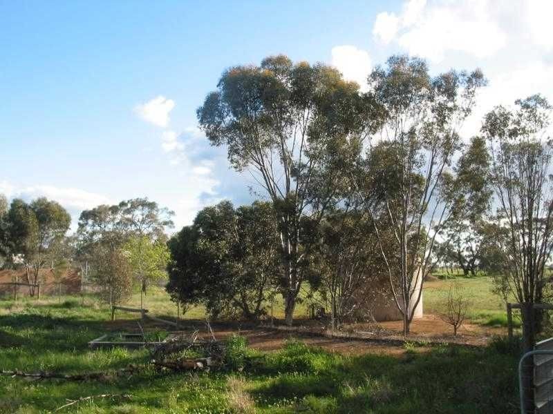 Lot 1 & 2 Webster Street, Wycheproof VIC 3527