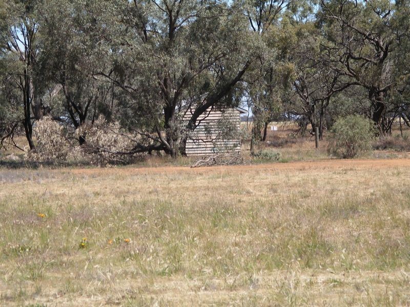 Lot 1 & 2 Webster Street, Wycheproof VIC 3527