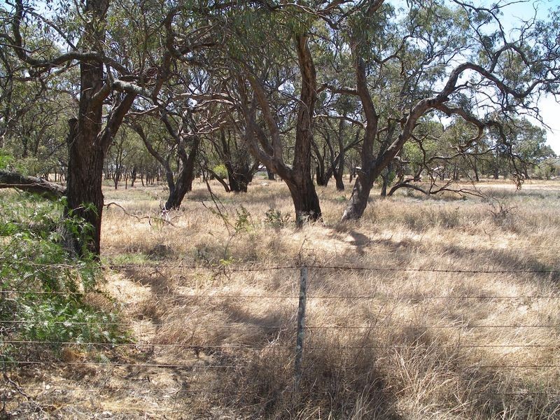 Lot 1 & 2 Webster Street, Wycheproof VIC 3527