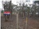 1 Monument Drive, Wedderburn VIC 3518