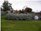 50 Hospital Street, Wedderburn VIC 3518