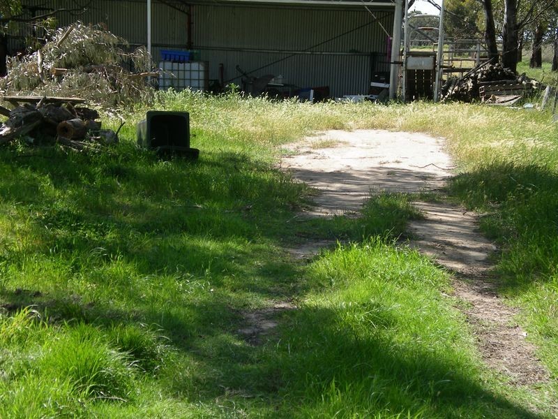 300 Boort Kerang Road & Potters Lane, Boort VIC 3537