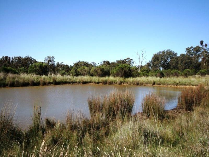 Lot 2 Swifts Lane, Elphinstone VIC 3448