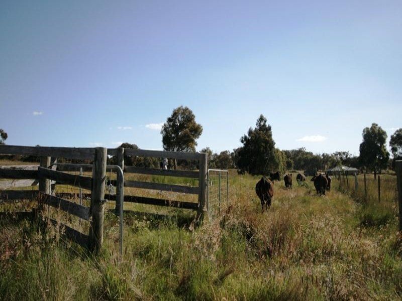Lot 2 Swifts Lane, Elphinstone VIC 3448