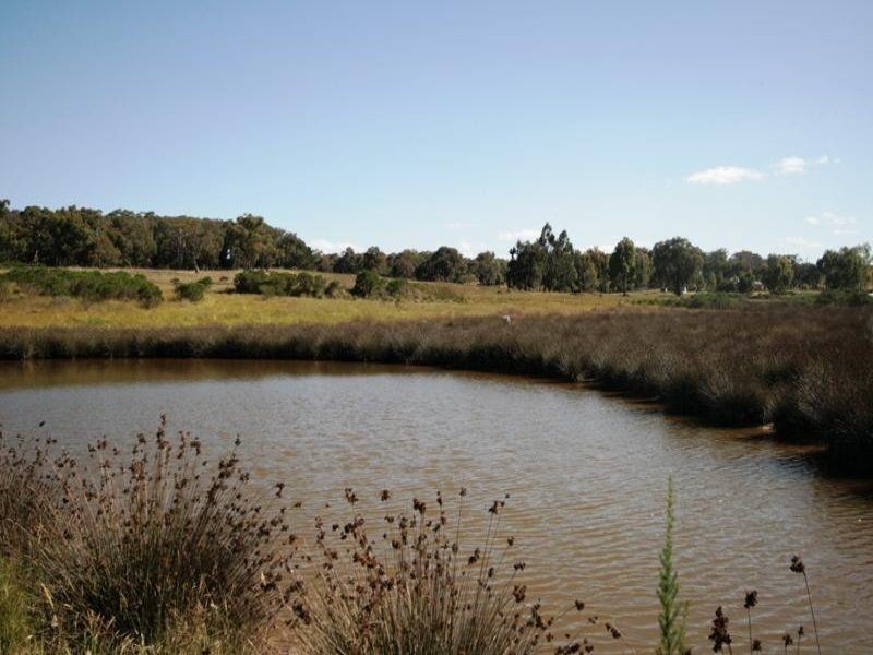 Lot 2 Swifts Lane, Elphinstone VIC 3448
