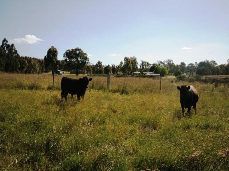 Lot 2 Swifts Lane, Elphinstone VIC 3448