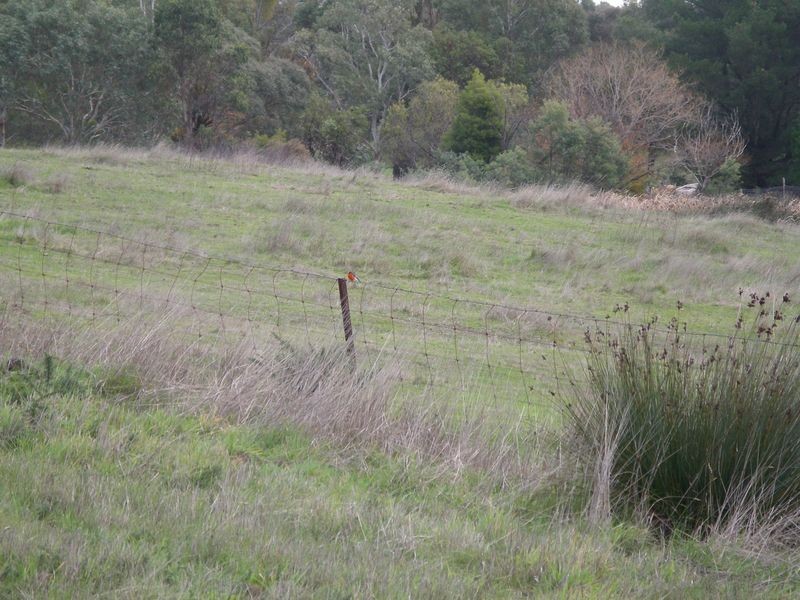 Lot 2 Swifts Lane, Elphinstone VIC 3448