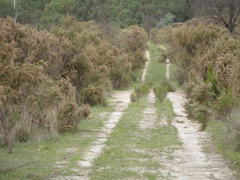 Lot 2 Swifts Lane, Elphinstone VIC 3448