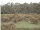 Lot 2 Swifts Lane, Elphinstone VIC 3448