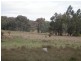 Lot 2 Swifts Lane, Elphinstone VIC 3448