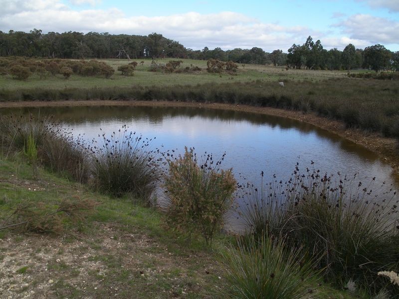 Lot 2 Swifts Lane, Elphinstone VIC 3448