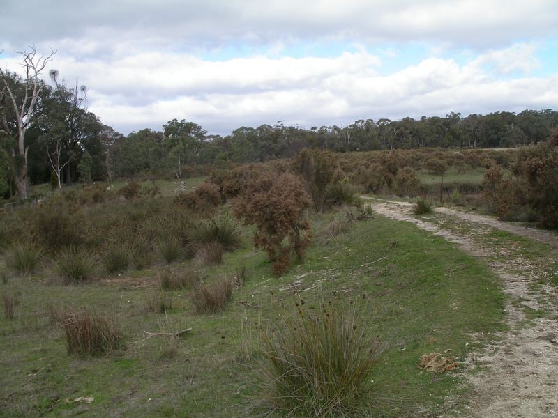 Lot 2 Swifts Lane, Elphinstone VIC 3448