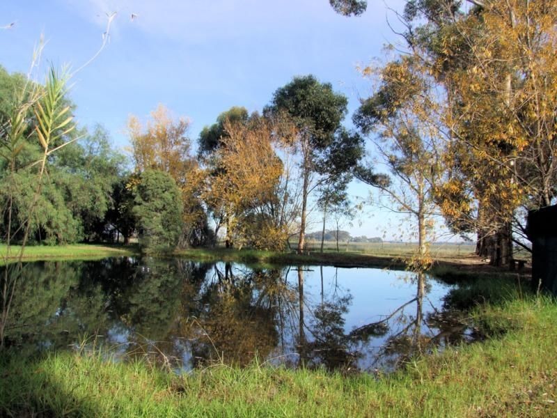 84 Tandarra Serpentine Road, Tandarra VIC 3571