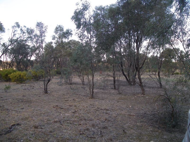 3518 Maxwells Road, Korong Vale VIC 3520