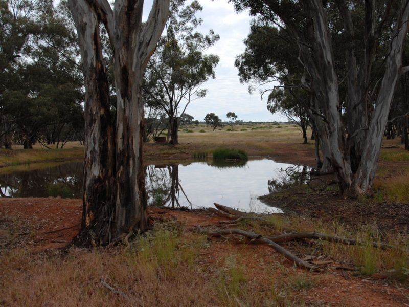 Lot 1 Calder Highway, Woosang VIC 3518