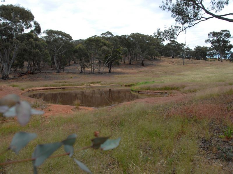 Lot 1 Calder Highway, Woosang VIC 3518