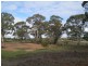 Lot 1 Calder Highway, Woosang VIC 3518