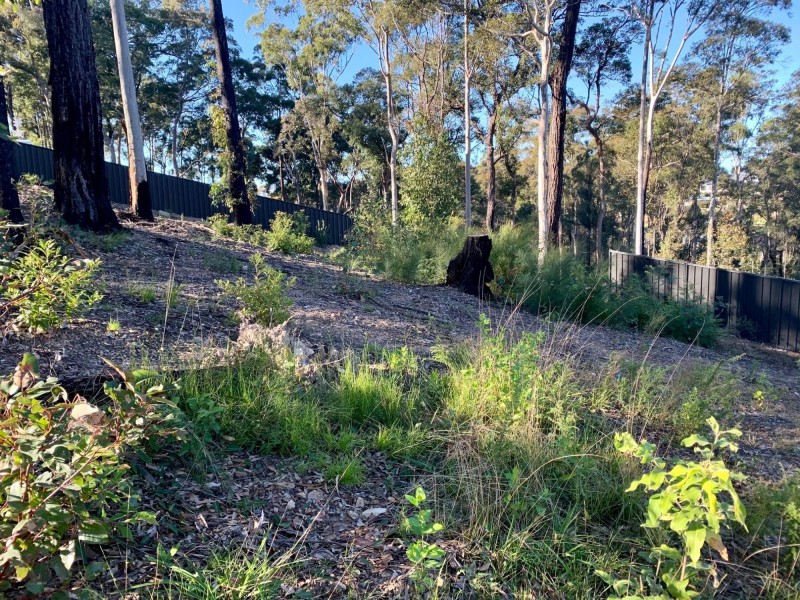 3 Currawong Crescent, Malua Bay NSW 2536