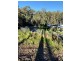 3 Currawong Crescent, Malua Bay NSW 2536