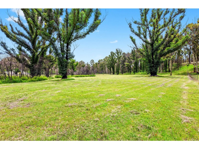 Lot 16/62 Jedel Drive, Catalina NSW 2536
