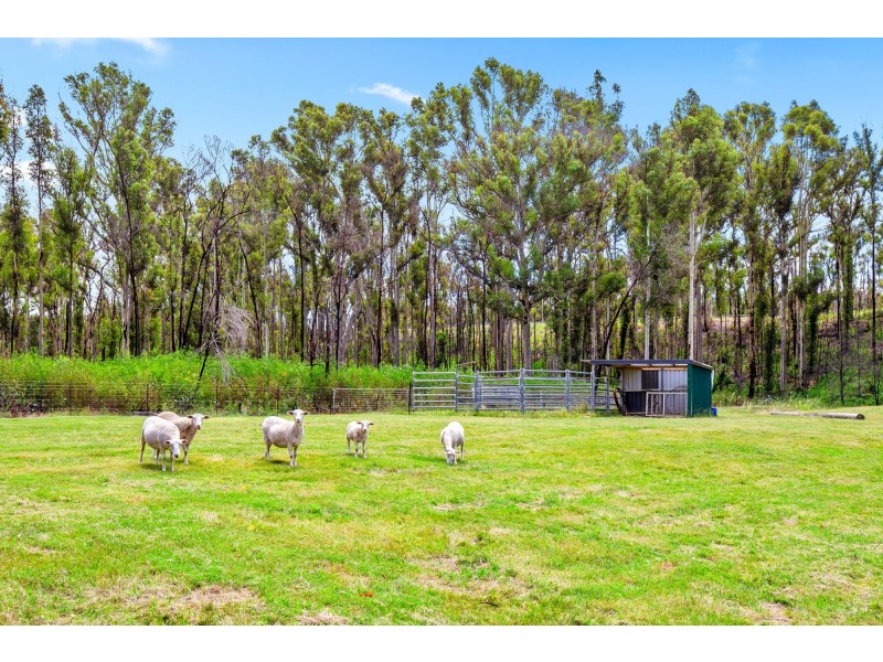 Lot 16/62 Jedel Drive, Catalina NSW 2536