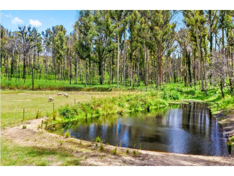 Lot 16/62 Jedel Drive, Catalina NSW 2536