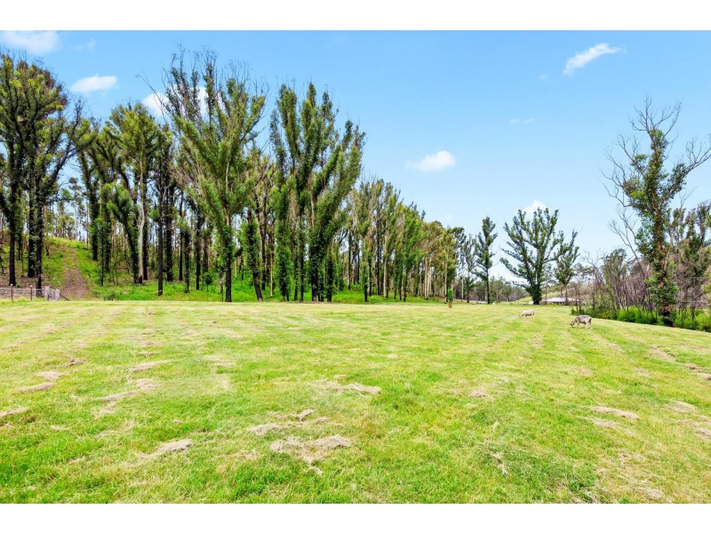Lot 16/62 Jedel Drive, Catalina NSW 2536