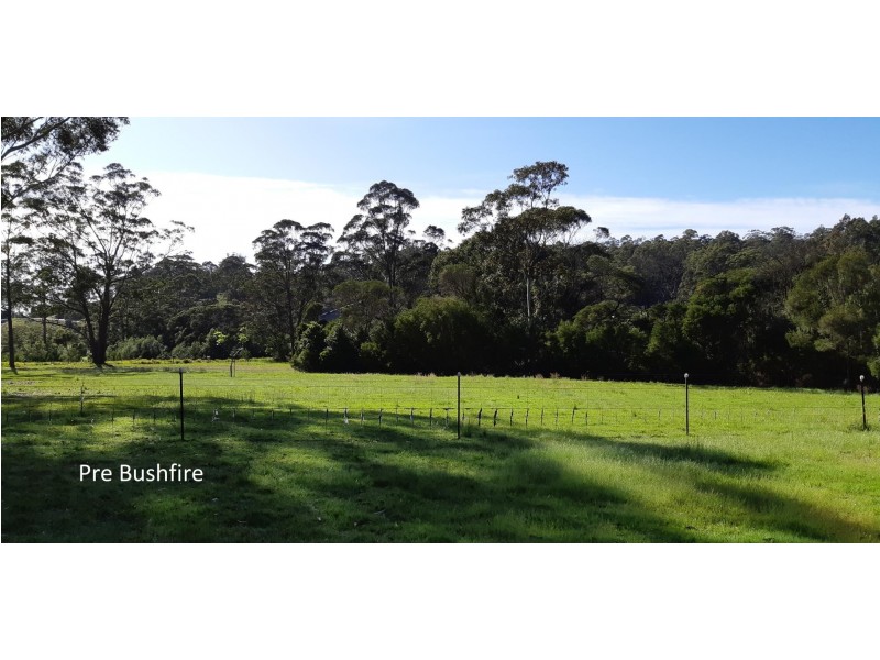 Lot 16/62 Jedel Drive, Catalina NSW 2536
