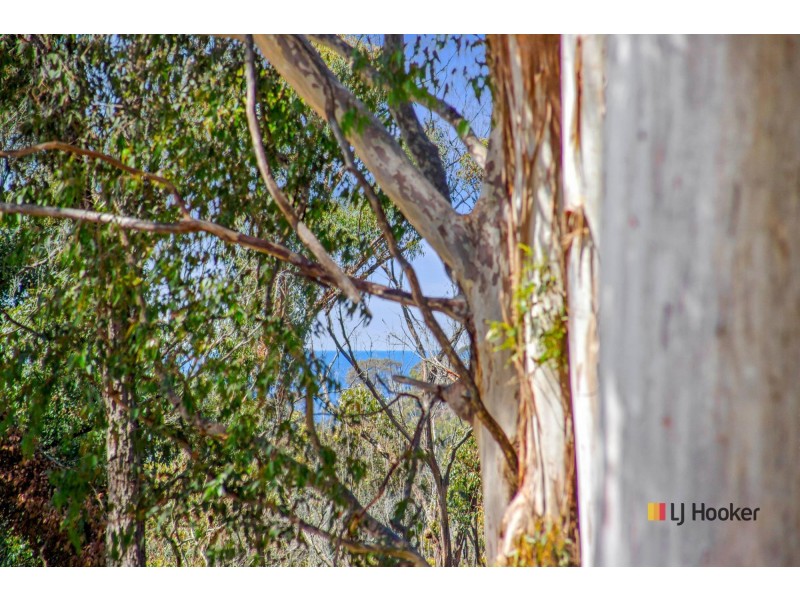 135 Burri Road, Malua Bay NSW 2536