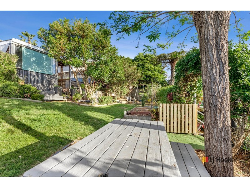 49 Riverview Crescent, Catalina NSW 2536