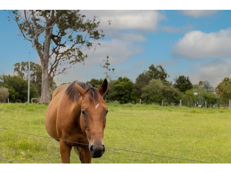 27 Yarimup Place, Moruya NSW 2537