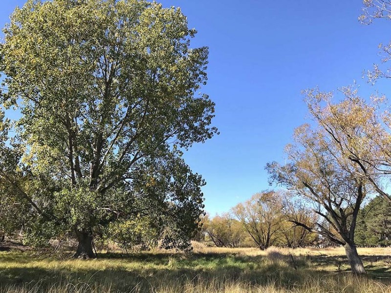 Lots 322/323/326/328/32 Sandholes Road, Braidwood NSW 2622