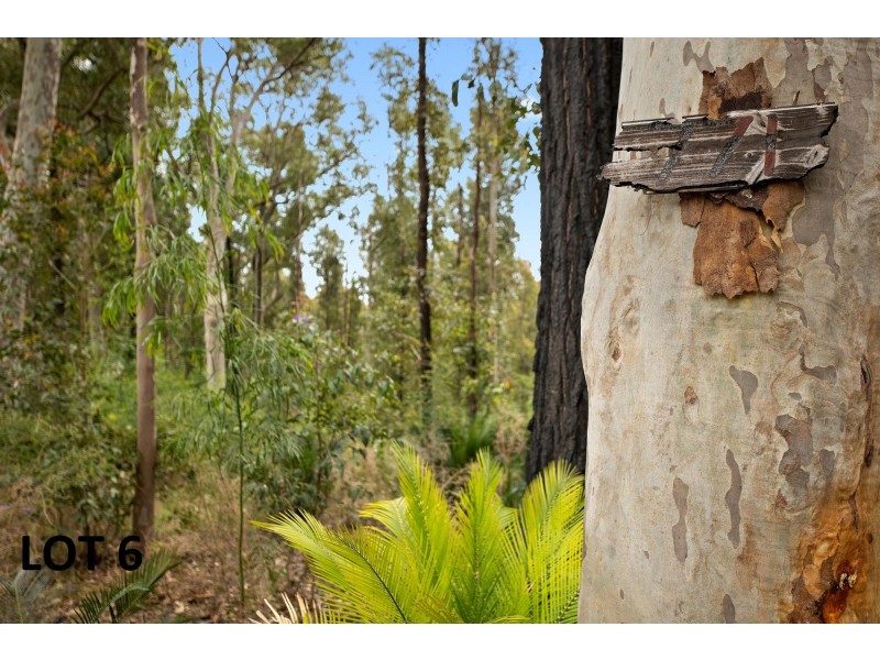 771 The Ridge Road, Lilli Pilli NSW 2536