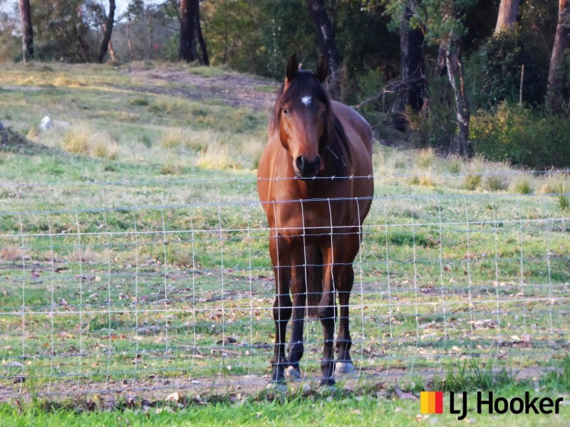 394 Garden Seat Road, Benandarah NSW 2536