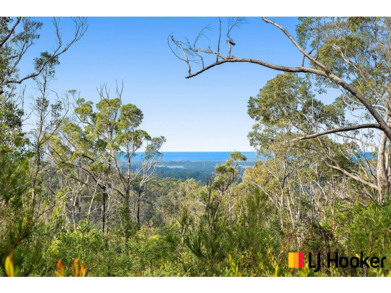 320 Pollwombra Road, Moruya NSW 2537