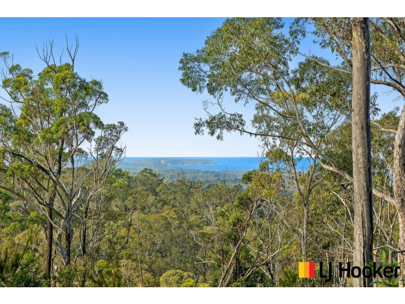 320 Pollwombra Road, Moruya NSW 2537