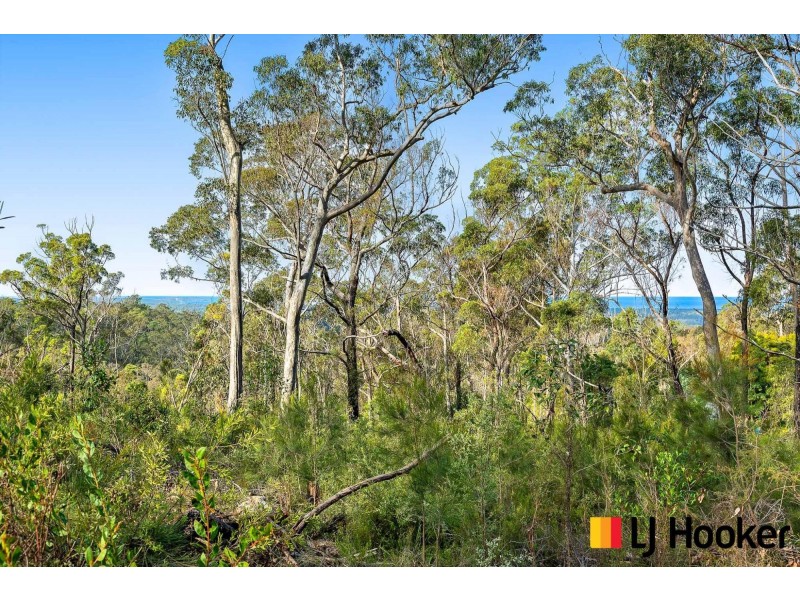 320 Pollwombra Road, Moruya NSW 2537