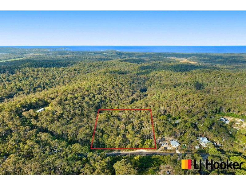 320 Pollwombra Road, Moruya NSW 2537