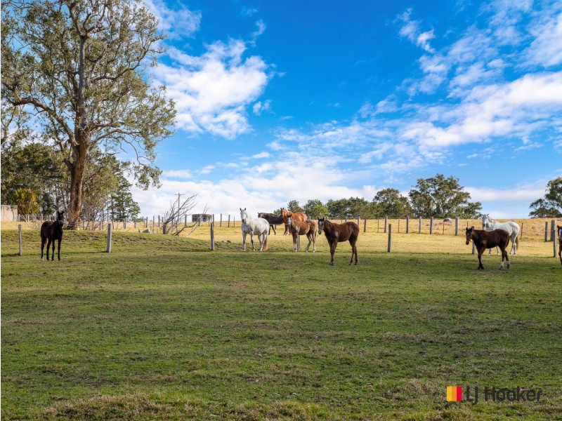 470 Larrys Mountain Road, Mogendoura NSW 2537