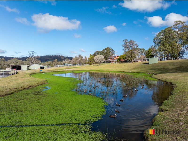 470 Larrys Mountain Road, Mogendoura NSW 2537