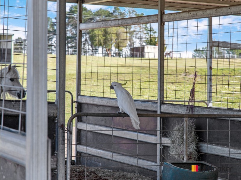 470 Larrys Mountain Road, Mogendoura NSW 2537