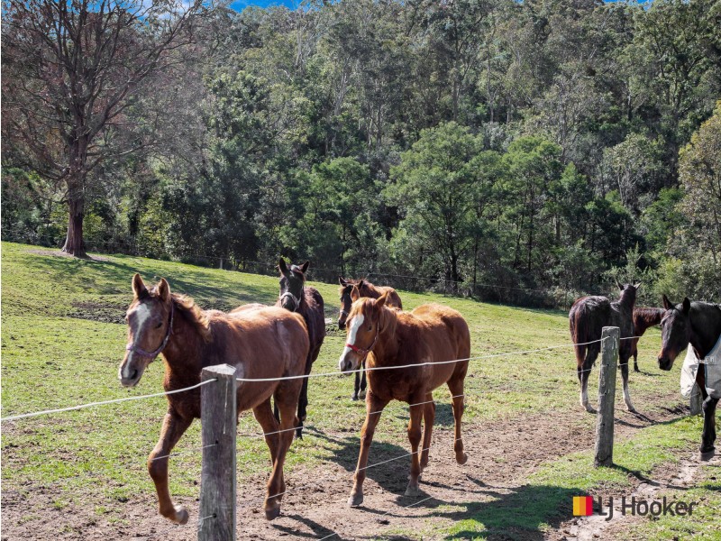 470 Larrys Mountain Road, Mogendoura NSW 2537