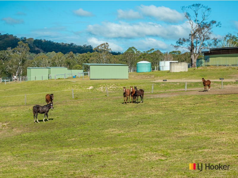 470 Larrys Mountain Road, Mogendoura NSW 2537