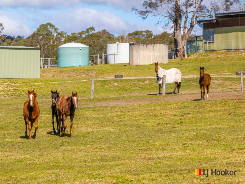 470 Larrys Mountain Road, Mogendoura NSW 2537