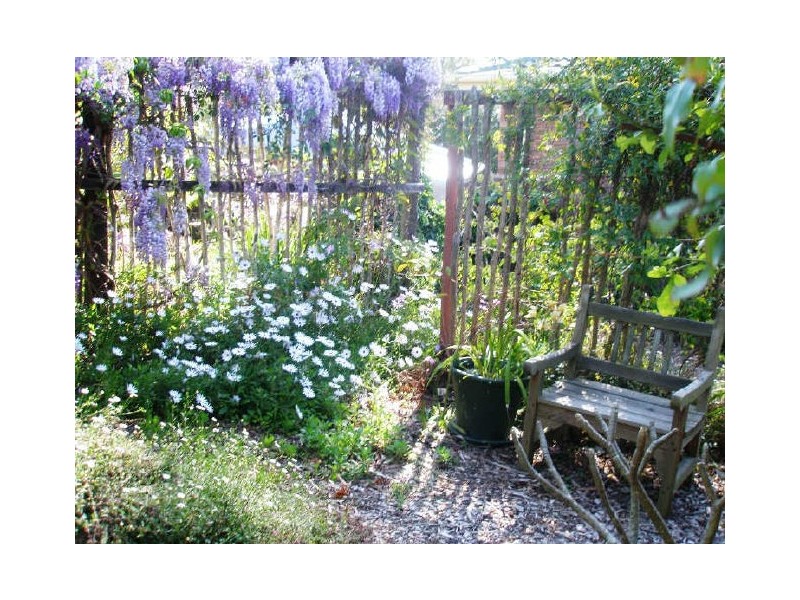 Lilli Pilli NSW 2536