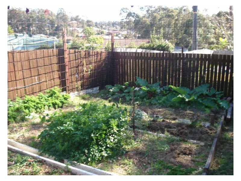 556 Beach Road, Denhams Beach NSW 2536