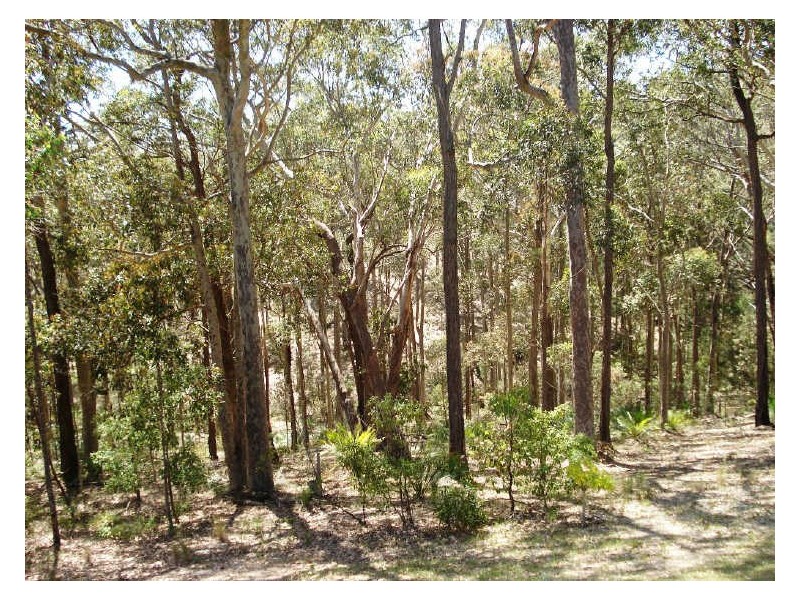 11 Roseby Drive, Rosedale NSW 2536