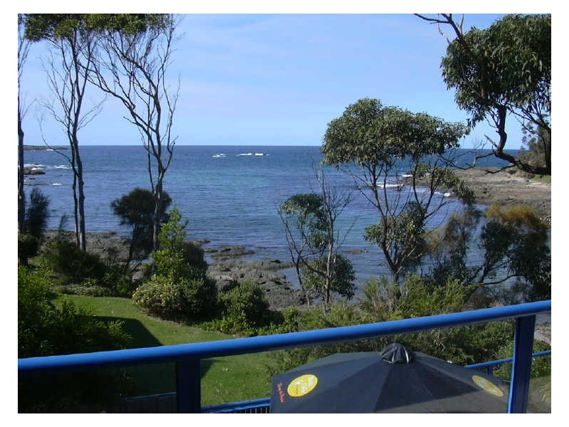 1/366 George Bass Dr, Lilli Pilli NSW 2536