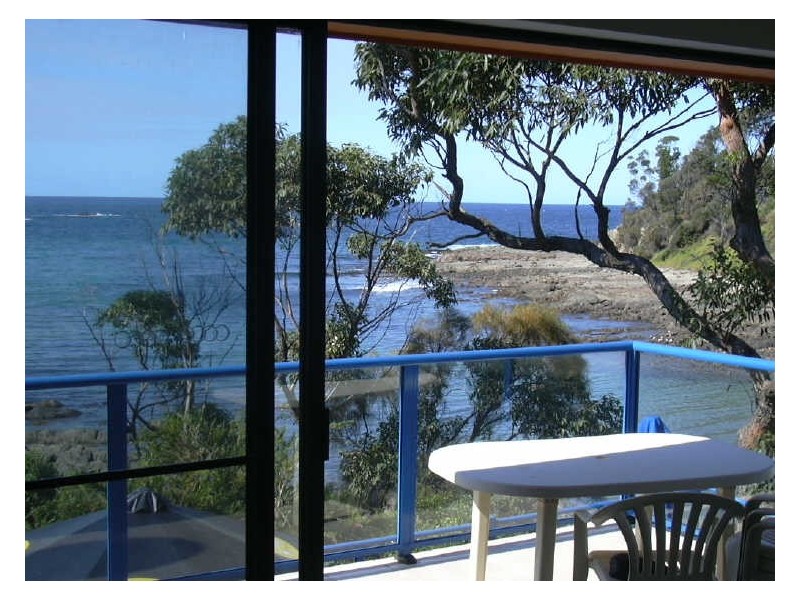 1/366 George Bass Dr, Lilli Pilli NSW 2536